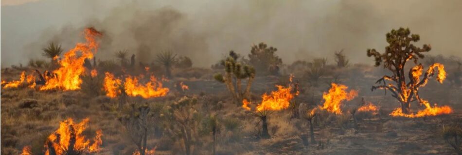 Sign up for Fire Emergencies